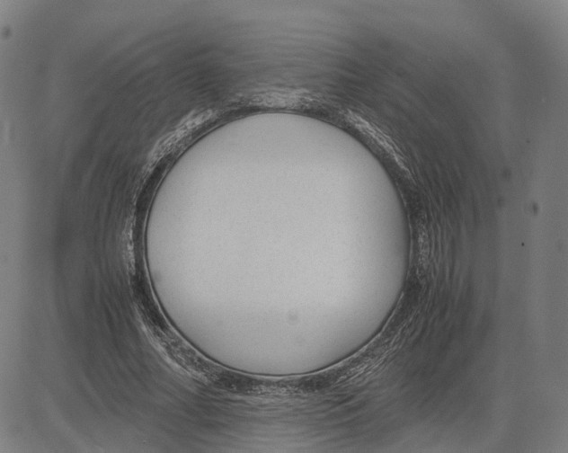 X0000083660682200703121812