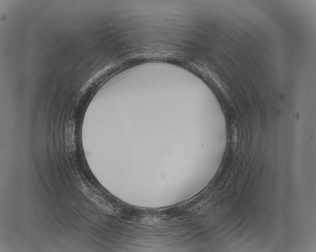 X0000083660684200703121812