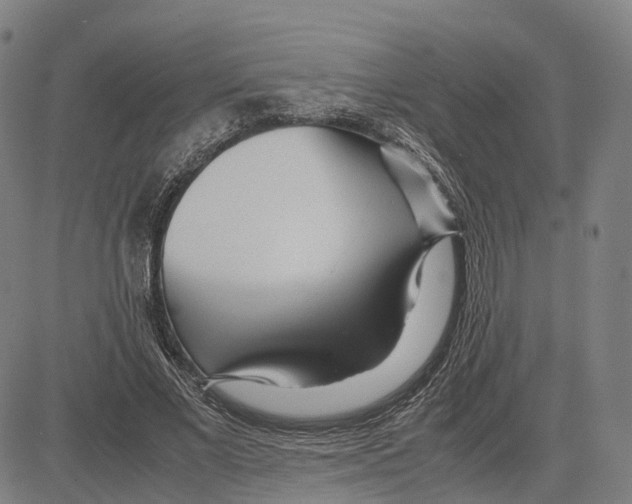 X0000083660685200703121812