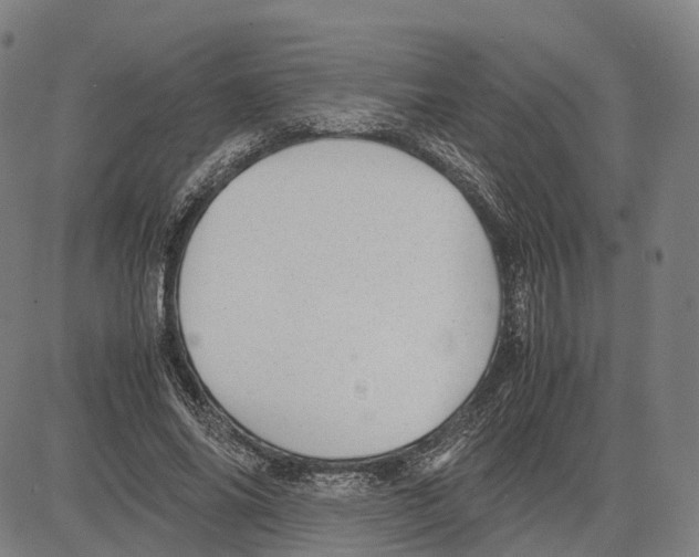 X0000083660686200703121812