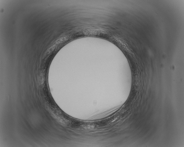 X0000083660687200703121812