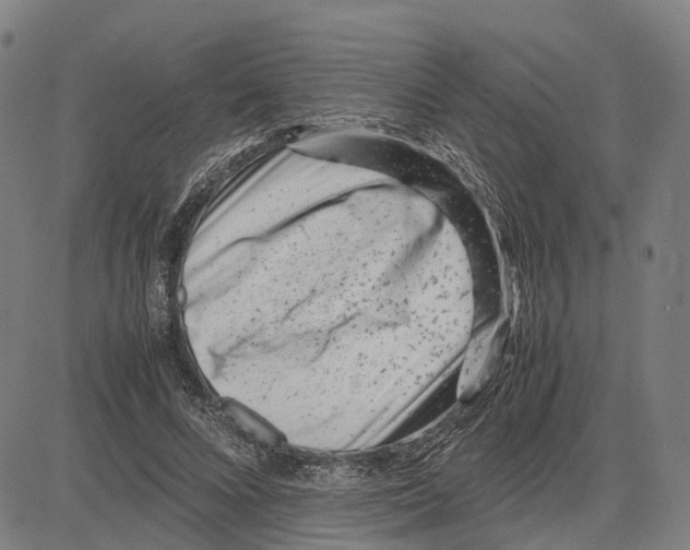 X0000083660688200703121812