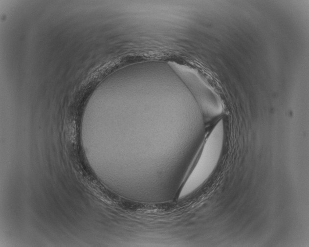 X0000083660689200703121812