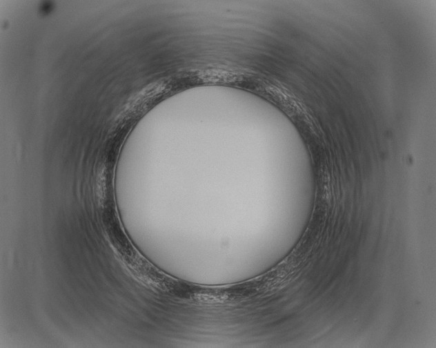 X0000083660690200703121812