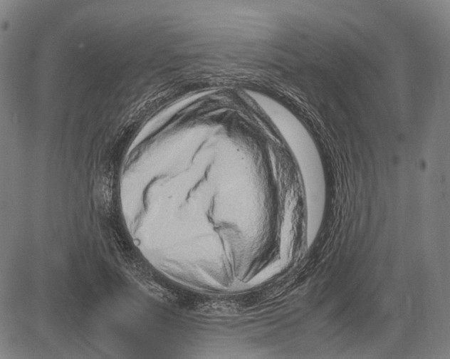 X0000083660691200703121812