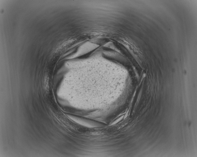 X0000083660692200703121812