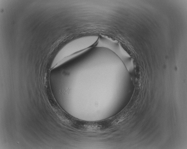 X0000083660693200703121812