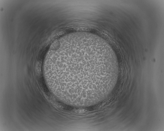 X0000083660695200703121812