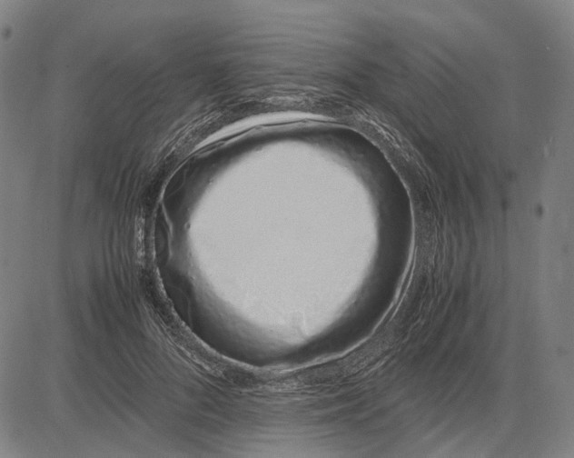 X0000083660696200703121812