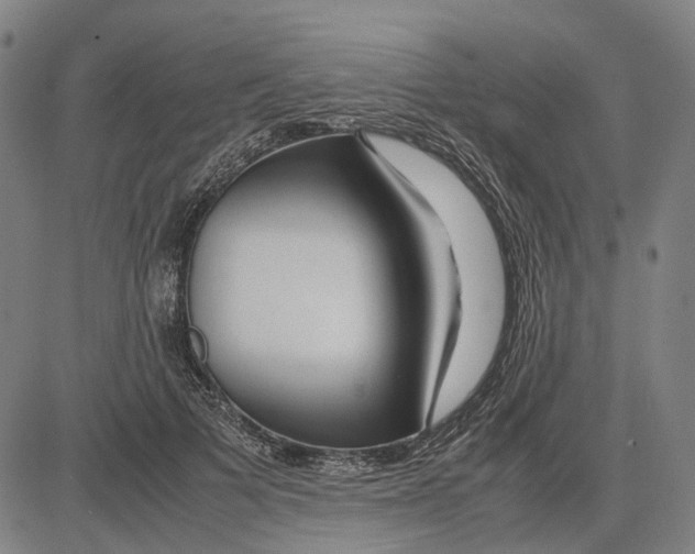 X0000083660697200703121812