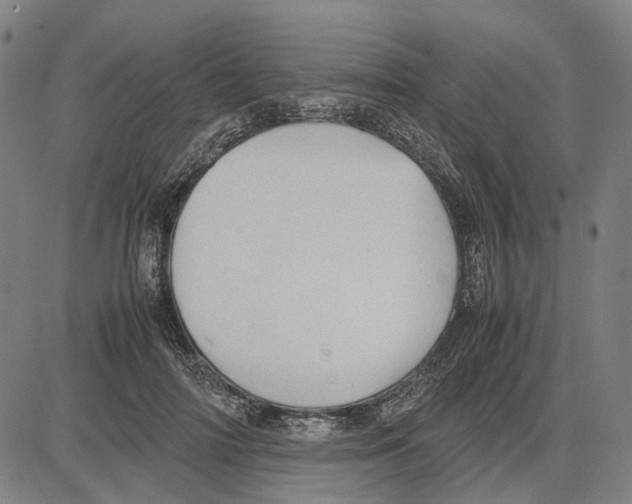 X0000083660698200703121812