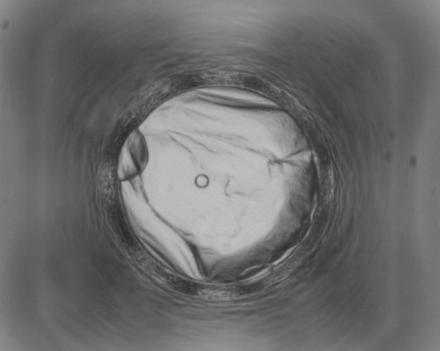 X0000083660699200703121812