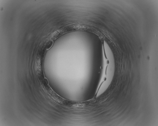 X0000083660700200703121812