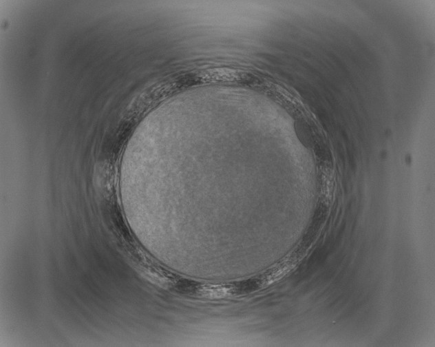 X0000083660701200703121812