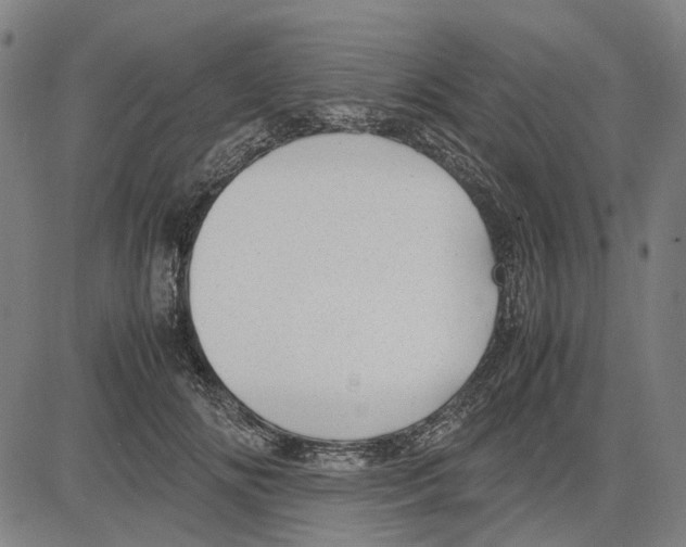 X0000083660702200703121812