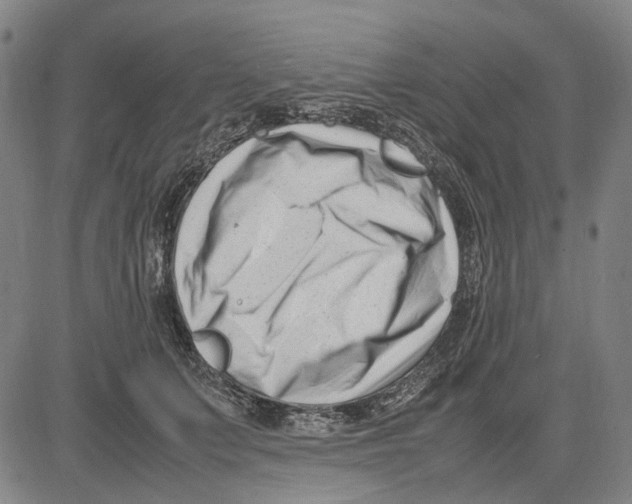 X0000083660703200703121812