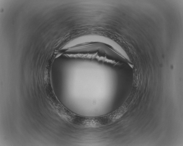 X0000083660704200703121812