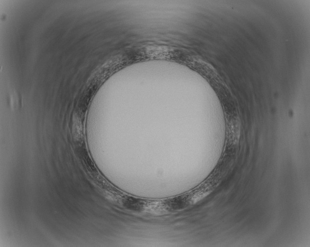 X0000083660705200703121812