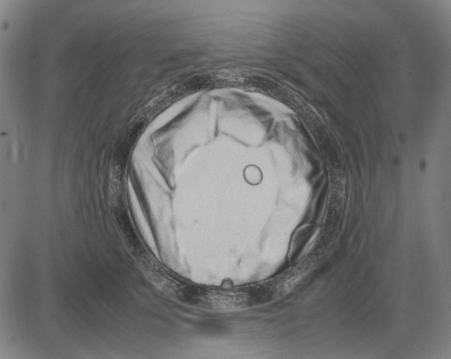 X0000083660707200703121812