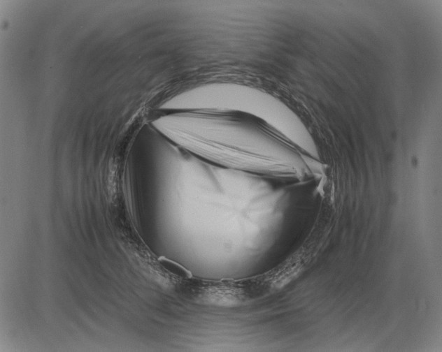 X0000083660708200703121812