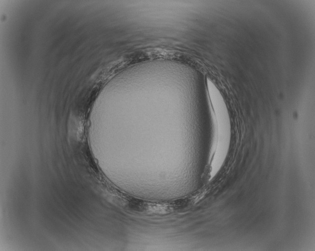 X0000083660709200703121811