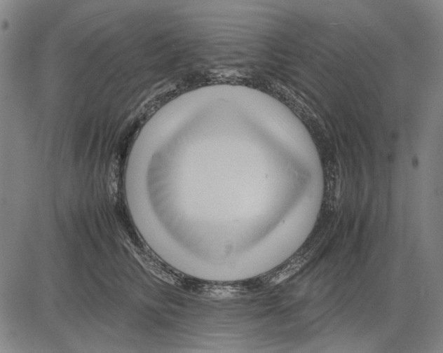 X0000083660710200703121811