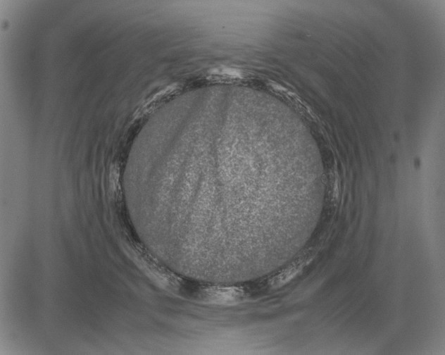 X0000083660711200703121811