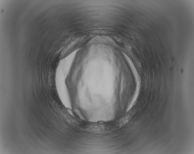 X0000083660712200703121811