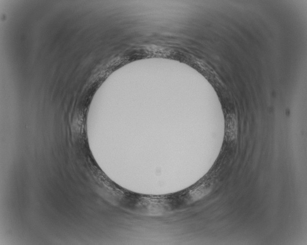 X0000083660713200703121811