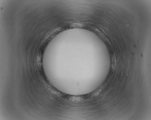 X0000083660714200703121811