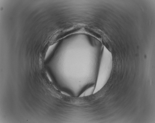 X0000083660716200703121811