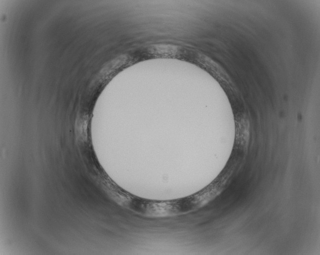 X0000083660717200703121811