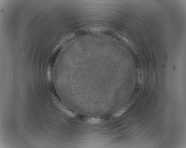 X0000083660718200703121811