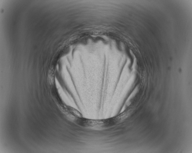 X0000083660719200703121811