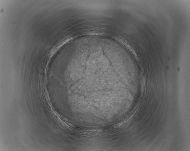 X0000083660721200703121811