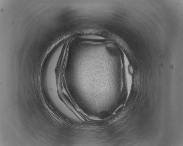 X0000083660722200703121811