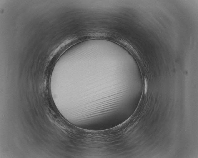 X0000083660723200703121811