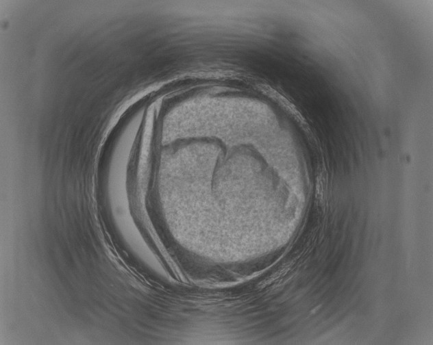 X0000083660724200703121811