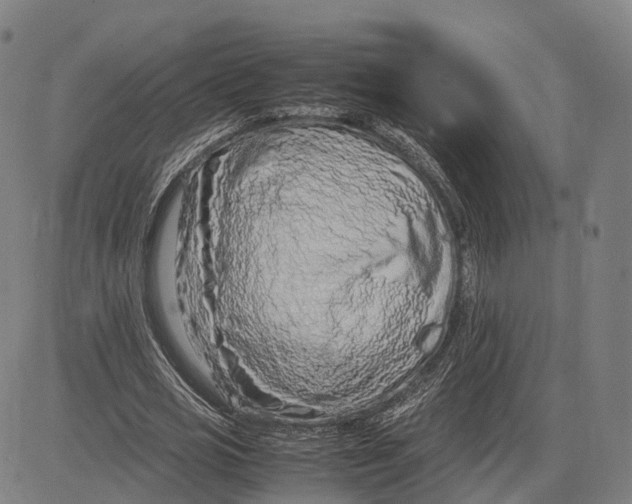 X0000083660725200703121811