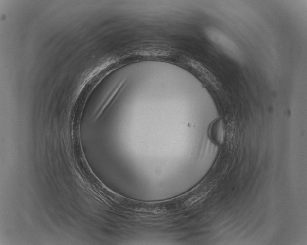 X0000083660727200703121811