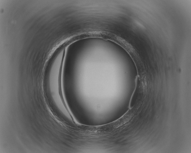 X0000083660728200703121811