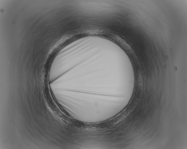 X0000083660730200703121811