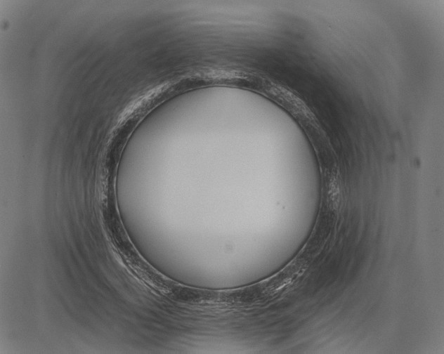 X0000083660732200703121811