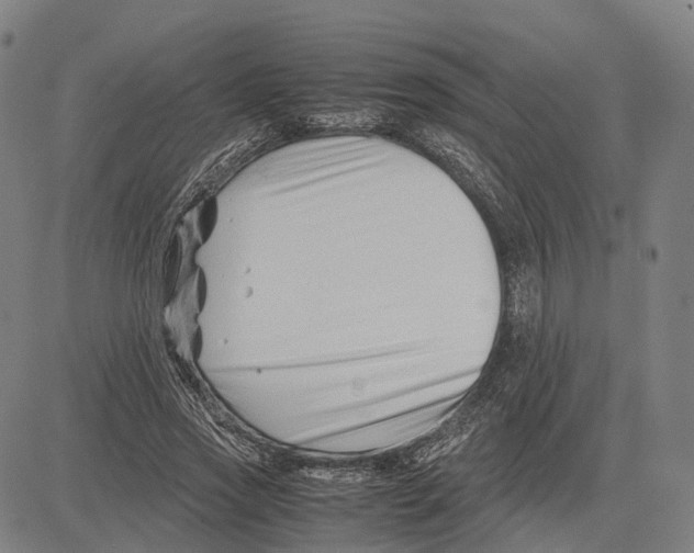 X0000083660733200703121811