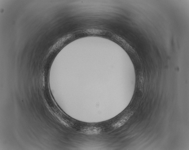 X0000083660734200703121811