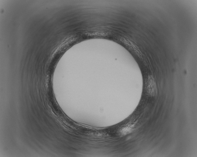 X0000083660735200703121811