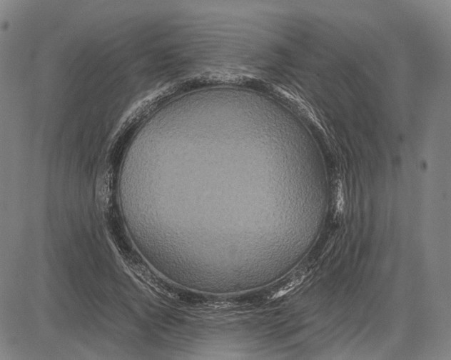 X0000083660736200703121811