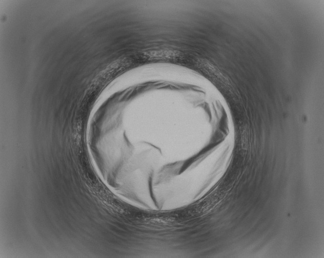 X0000083660737200703121811