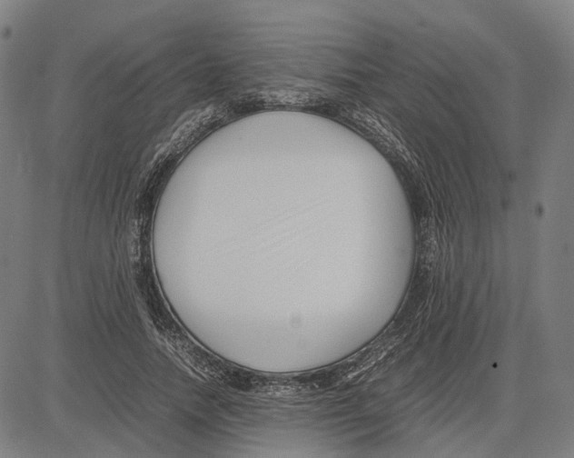 X0000083660738200703121811