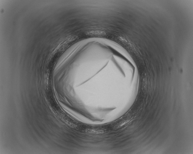 X0000083660739200703121811